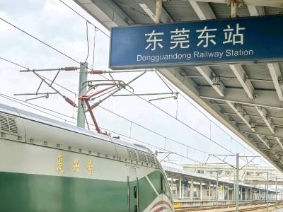 出行预警！台风“红霞” 来了，东莞东站这些车停运