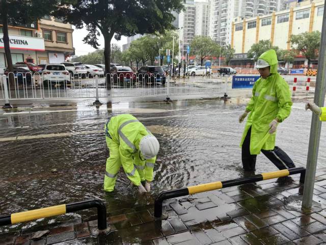 清障、排涝、抢修同步推进!惠东加快恢复城市秩序|直击台风“红霞”