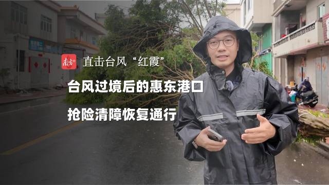 台风过境后的惠东港口，抢险清障恢复通行｜直击台风“红霞”
