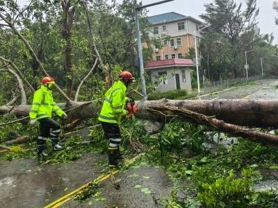 连夜处理倒塌棚、风雨中道路清障！深圳大鹏应急人员全力应对台风