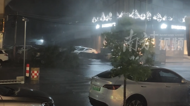 台风“红霞”登陆在即！惠东黄埠镇出现树木倒伏