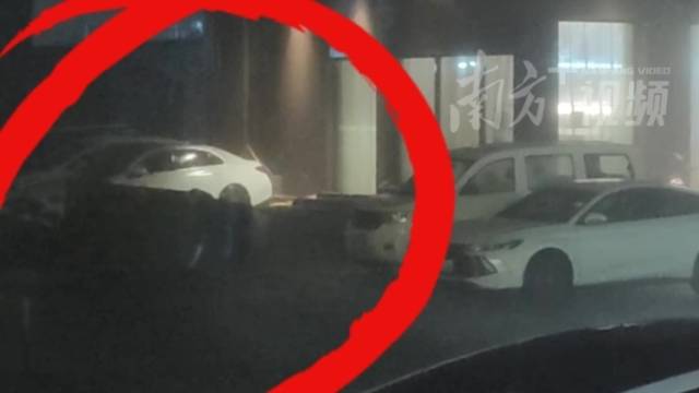 台风“红霞”登陆！酒店短暂停电，三轮车被吹翻，树木倒伏