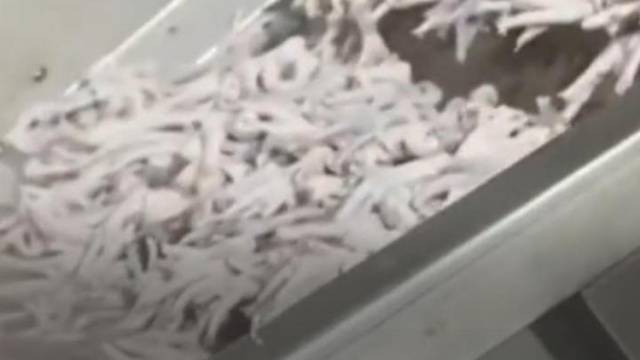 “3·15”曝光的漂白鸡爪涉事公司被罚1085万元