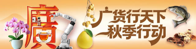 微信图片_20260728175124_1158_316  受访者供图