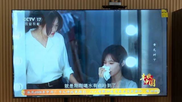 《黄皮树下》央视首播 《黄皮树下》央视首播