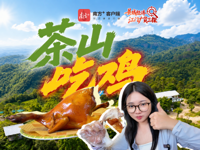 视频｜大夏天跑山里吃鸡？广东人：转弯到