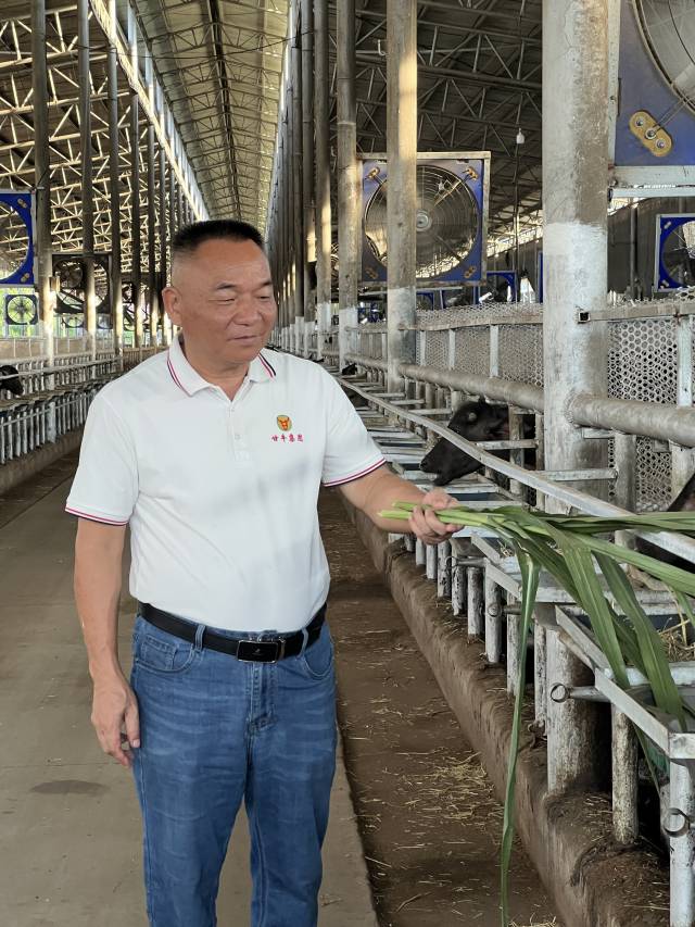 鹤山市桃源镇商会副会长、广西龙州甘牛投资集团有限公司创始人温兆轩。