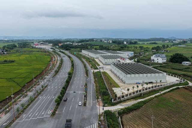 上林县粤桂协作花卉产业园 上林县粤桂协作花卉产业园