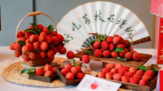 从挂绿母树到世界遗产：增城荔枝的文明厚度与产业雄心 | 广东岭南荔枝申遗系列报道②