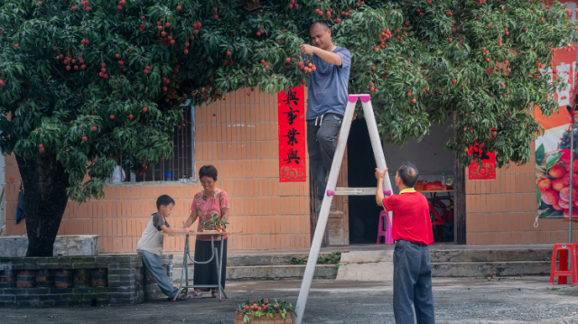 走向长期主义丨广东“媒体+”系列评④