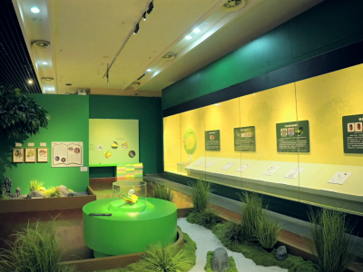 邂逅微观虫趣，粤博推出甲虫专题生态科普展