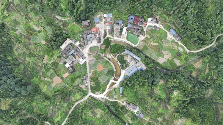 师生讲村史|在揭西归善村的草木清香与客家烟火间，读懂乡村振兴