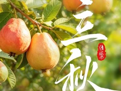 优·时节 | 云天收夏色 秋来芭乐香