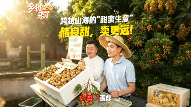 广东乡村CEO莫潇：一颗储良龙眼的出圈路
