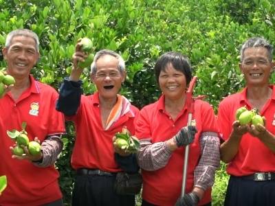 年产值达2.7亿元！省总工会助推阳春市石望镇柠檬产业“香飘四方”