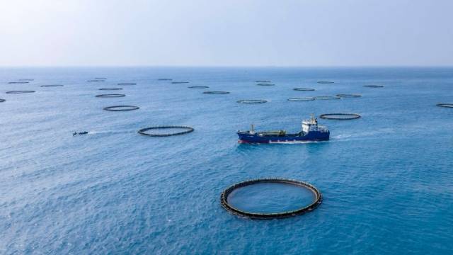国企引领千亿投资，广东海洋牧场这场会议信息量很大