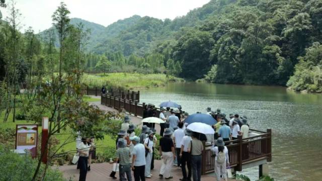 视频｜“林听美好”广州森林音乐季启幕，石门花海奏响森林康养新乐章