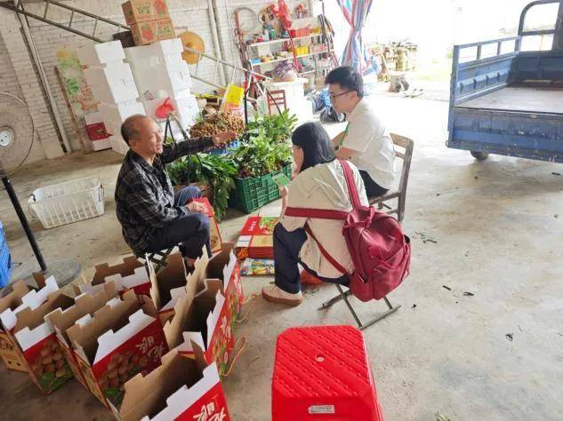 调研小组在村民家中访谈龙眼产业发展。