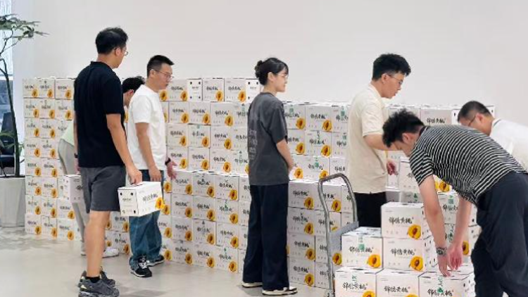 粤黔协作甜蜜接力，海珠赤岗商会认购950箱贵定黄桃助农增收