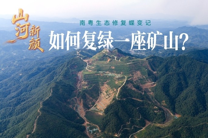 如何复绿一座矿山？｜山河新颜①