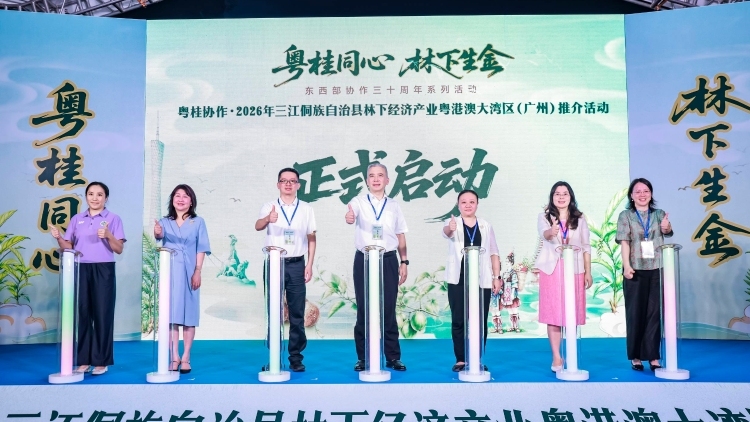 粤桂协作“点绿成金”！三江“林下瑰宝”香动湾区