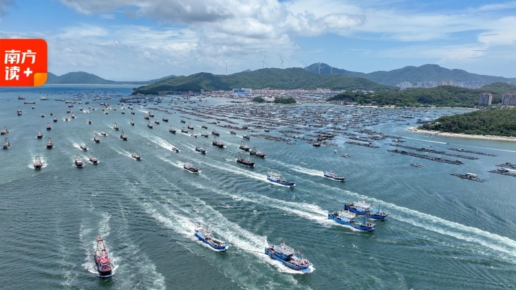 千帆向海，何止开渔