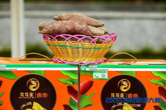 陆丰甘薯以 陆丰甘薯以