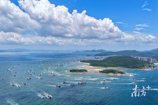 千帆出海的壮阔画面已成为南海(阳江)开渔季标识性场景。梁文栋 摄 千帆出海的壮阔画面已成为南海(阳江)开渔季标识性场景。梁文栋 摄