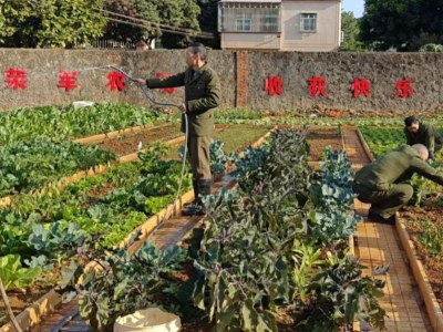 广东这家优抚医院，用“农疗”帮助荣军康复
