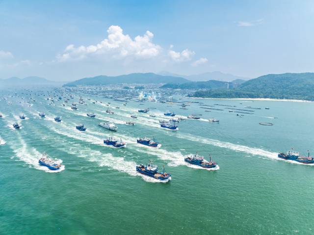 8月16日中午，随着开渔令响起，全市3400多艘渔船与全省各地渔船一起奔向蔚蓝。