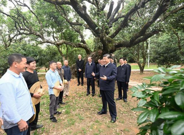2023年4月11日,习近平总书记来到广东茂名高州市根子镇柏桥村考察调研。 2023年4月11日,习近平总书记来到广东茂名高州市根子镇柏桥村考察调研。