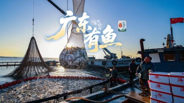 广东有鱼｜岭南山海志