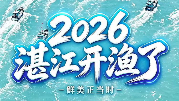 千帆列阵、万船竞发，“中国海鲜美食之都”湛江迎来开渔时刻！