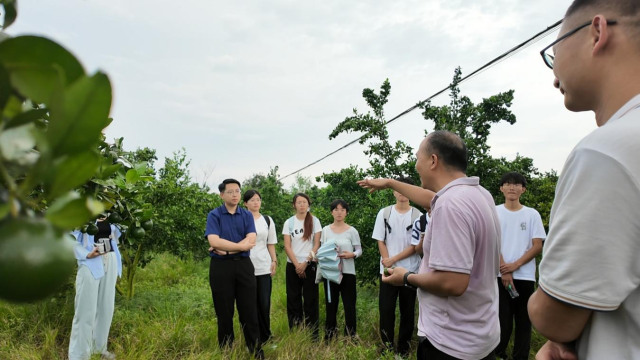 实践队与果园负责人了解贡柑种植具体情况