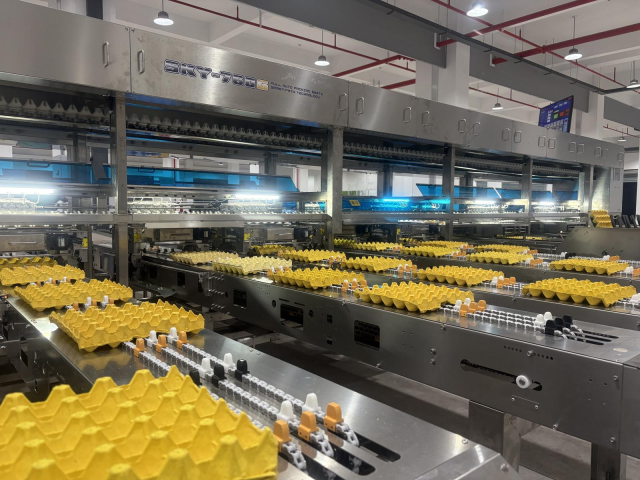 深圳乘乘集团凭借掌握的海量行业数据,搭建每日百城蛋价系统,不断提升蛋品“含智量”,供需商机撮合效率提高了10倍以上。 深圳乘乘集团凭借掌握的海量行业数据,搭建每日百城蛋价系统,不断提升蛋品“含智量”,供需商机撮合效率提高了10倍以上。