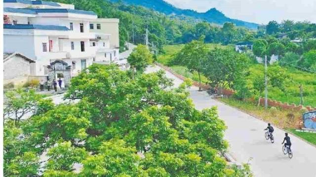 罗定“环金银湖—云桂山”精品线路焕新亮相