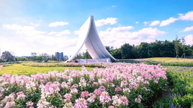 解锁城园融合新密码！花都发布“绿美+”五大路径