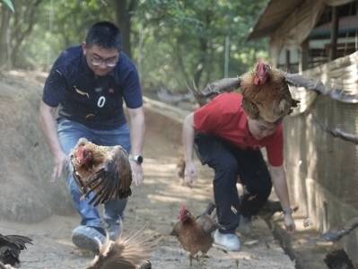 在粤北山里养鸡场，找到“百万英才汇南粤”的理由|记者手记