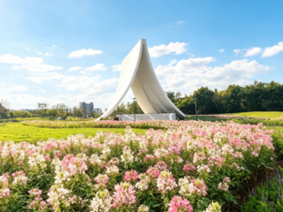 花都：不到四个月连开三座公园，“绿美+”五大路径解锁城园融合新密码