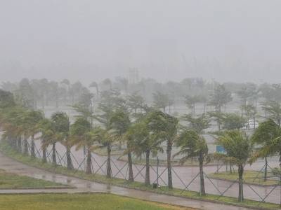 广东启动防风Ⅳ级应急响应