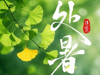 优·时节 ｜ 暑云随风散 半匙润秋燥