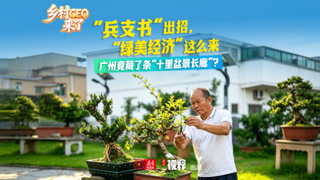 广东乡村CEO姚标民：百年盆景村的“兵支书”