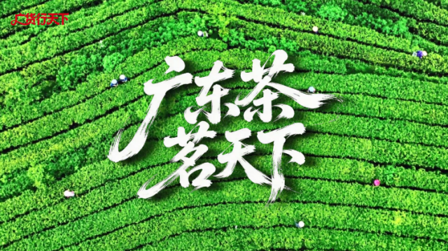 千年粤茶，何以“茗”动天下？ | 广货行天下