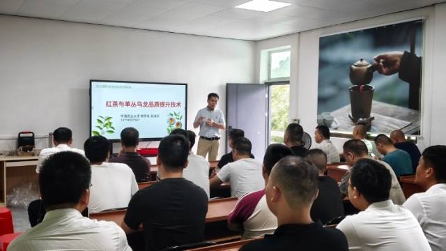 技术送到茶园车间，科技特派员助力饶平东山夏暑茶提质增效