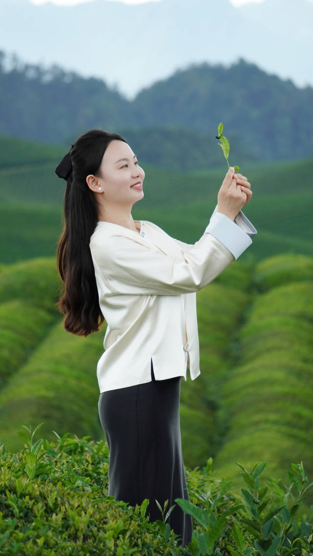 贵州周到文化传媒有限公司总经理周敏 贵州周到文化传媒有限公司总经理周敏