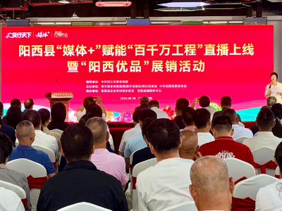 “媒体+”赋能！“阳西优品”融湾出海加速跑