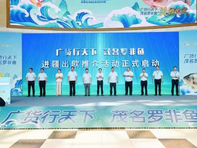 意向金额超6000万！茂名罗非鱼北上新疆收获满满 | 广货行天下