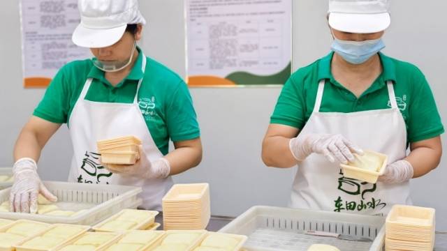 激活闲置资源，一粒“绿衣黄豆”链起共富路|广货行天下·车田豆腐香②