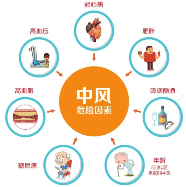 脑梗塞的“前世今生”:从潜伏到康复,一条能救命的完整认知链
