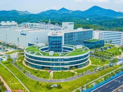 一颗“粤芯”，如何撬动大湾区集成电路版图？｜解码广东经济生态